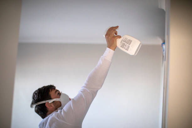 Best Mold Removal Near Me  in Glenshaw, PA