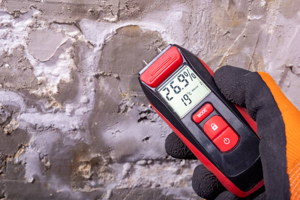 Best Mold Remediation Services  in Glenshaw, PA