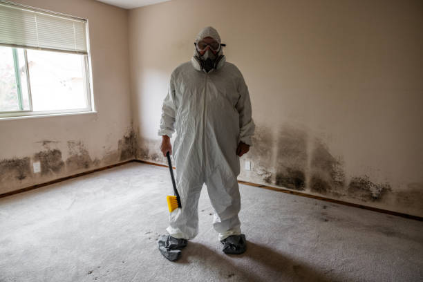 Best Toxic Mold Removal  in Glenshaw, PA